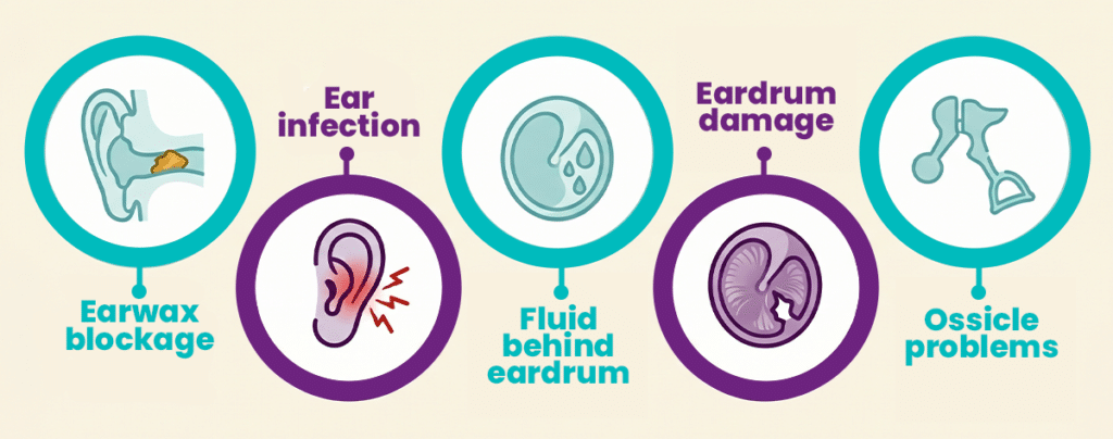 Main Causes of Conductive Hearing Loss